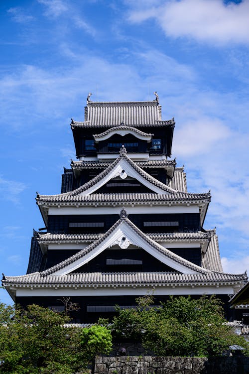 Foto profissional grátis de castelo, castelo kumamoto, cidade