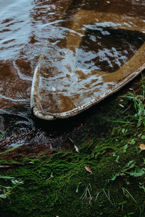 Free A sunken boat bow covered in moss on a riverbank, showcasing decay in nature. Stock Photo