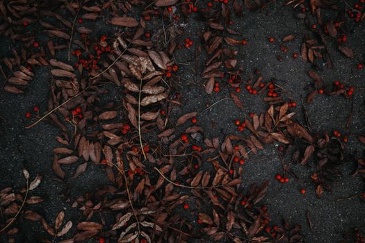Scattered red berries and brown leaves on a dark ground, capturing fall's essence.