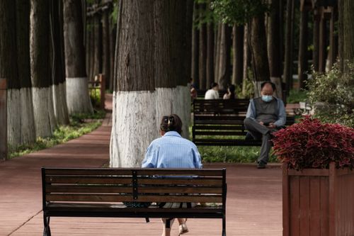 Free Peaceful afternoon in a park with people sitting and enjoying nature. Stock Photo