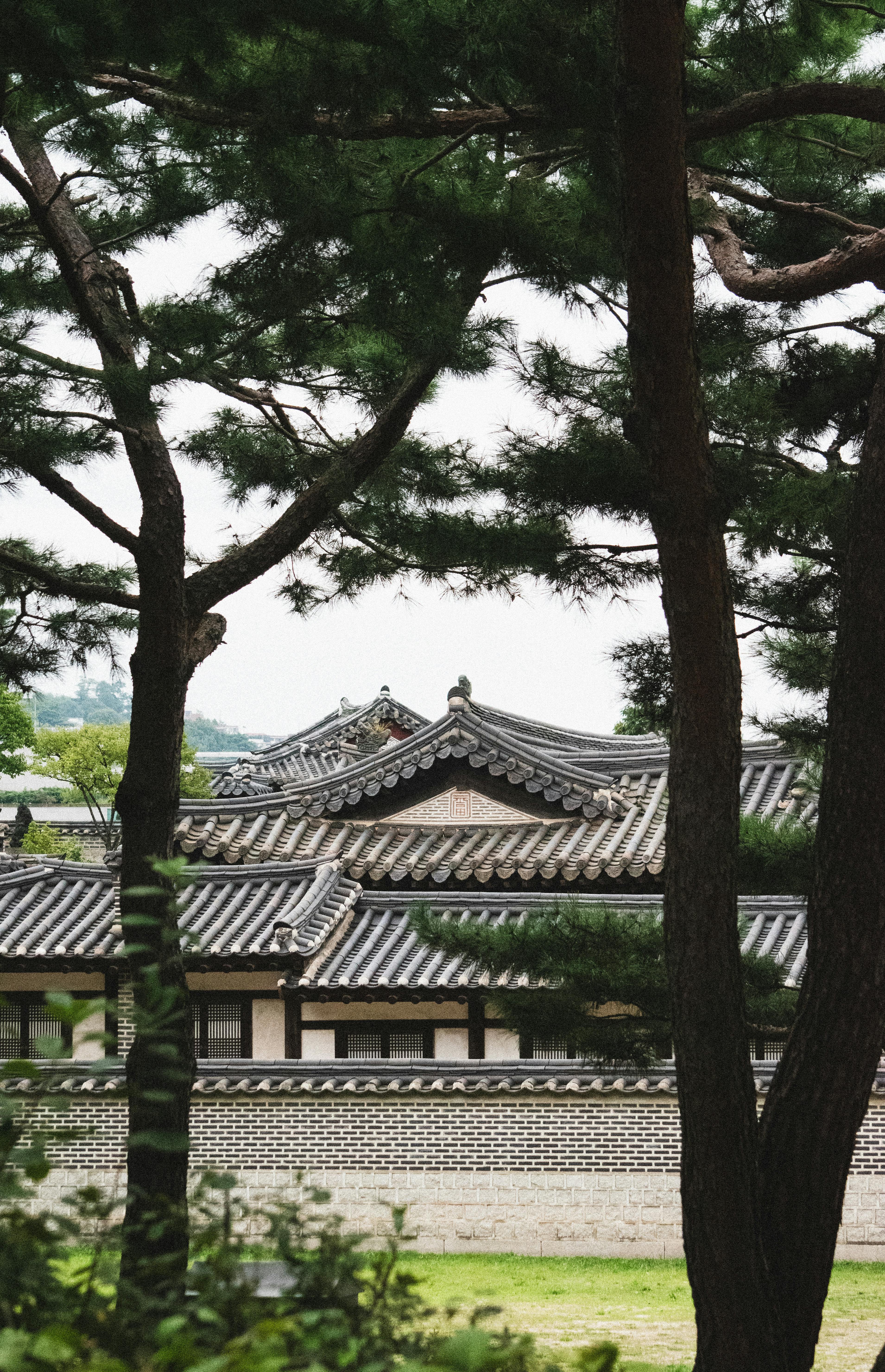 view on a asian style building through the trees