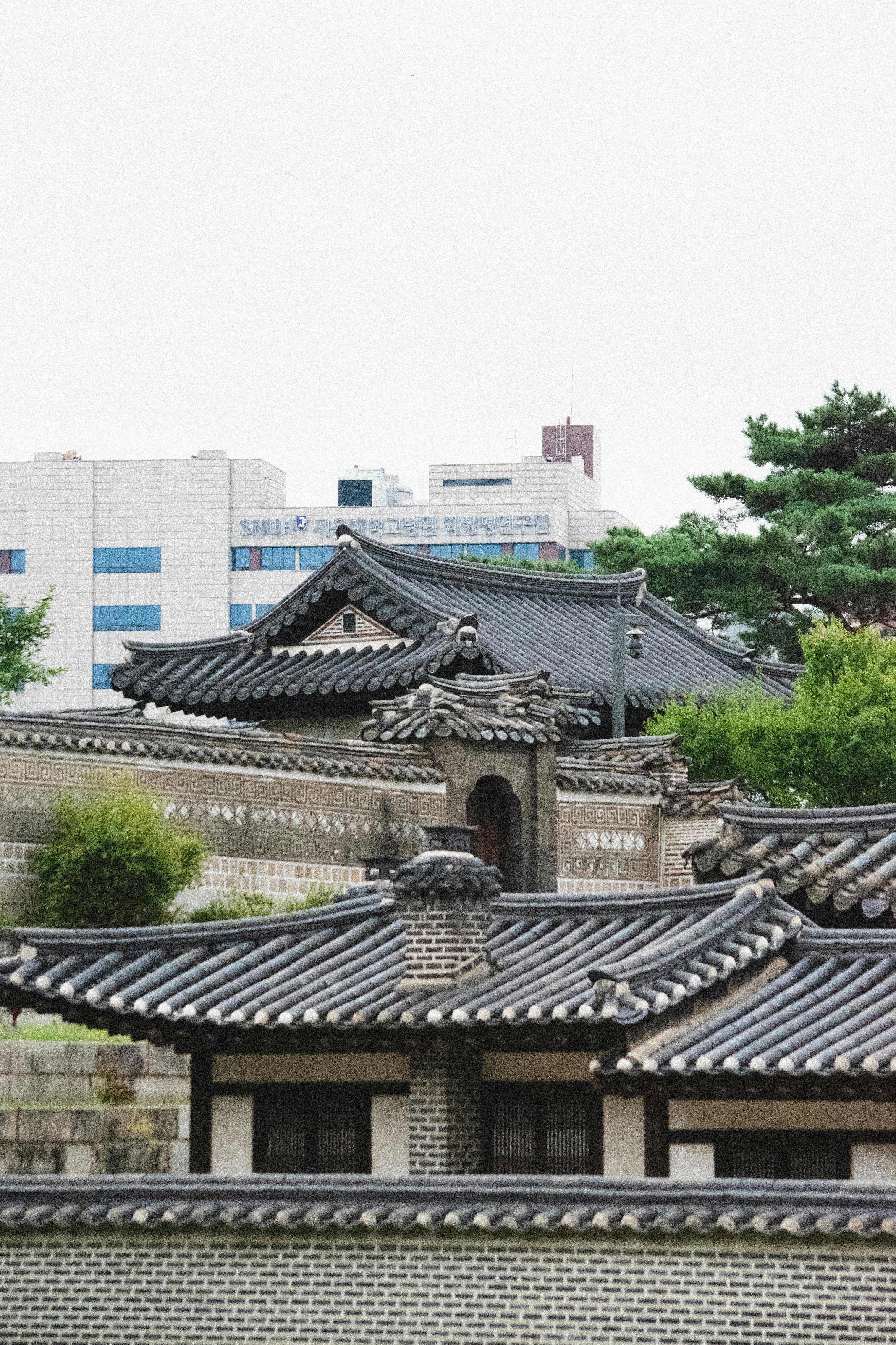 Traditional and modern Korean culture buildings