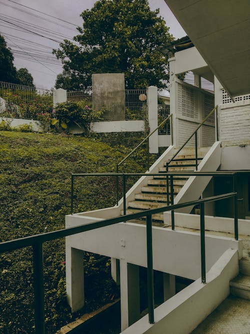 View of Steps Leading to a Building and a Piece of Green Yard 