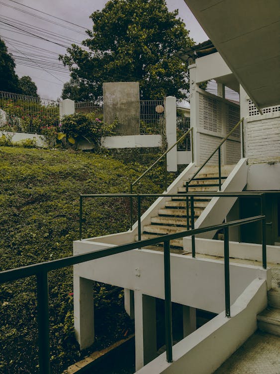 View of Steps Leading to a Building and a Piece of Green Yard 