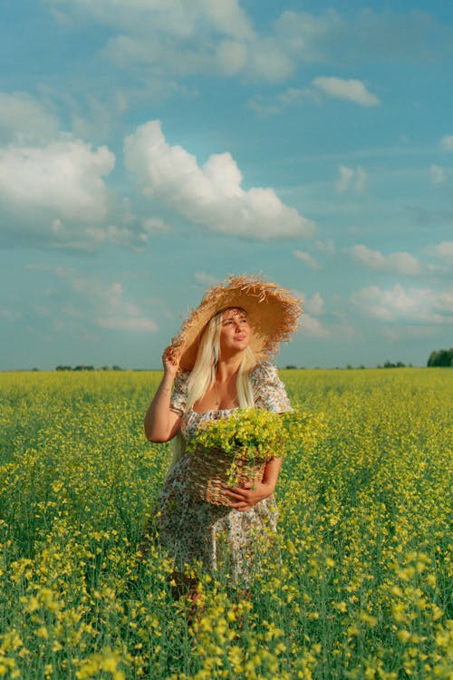 Gratis lagerfoto af afgrøde, agerjord, canola felt