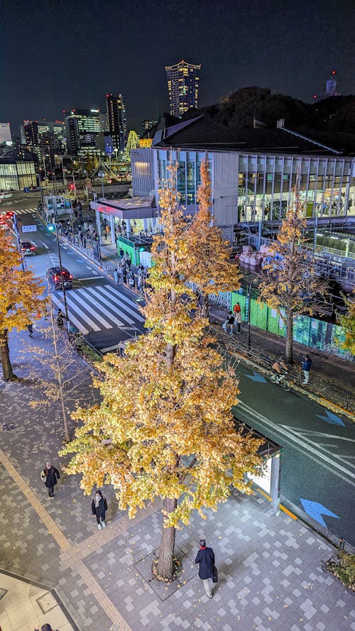 Tokio Shibuya Christmas Illumination bei Harajuku Station