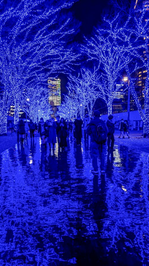 Fotobanka s bezplatnými fotkami na tému Japonsko, osvetlenie, Tokio