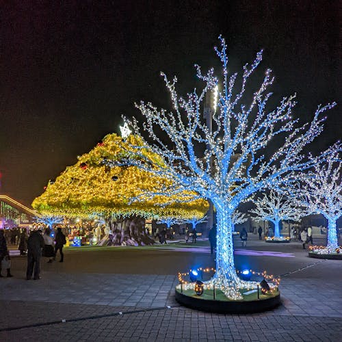 Fotobanka s bezplatnými fotkami na tému Japonsko, osvetlenie, Tokio