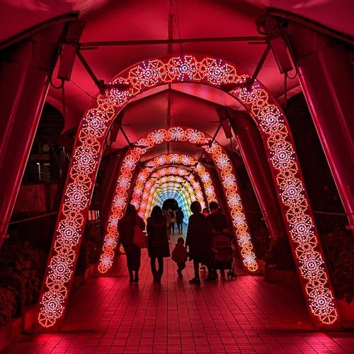 Christmas Lights Tunnel Tokyo Dome in Tokio