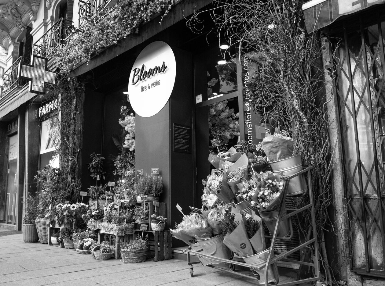 A neighborhood flower shop filled with fresh arrangements