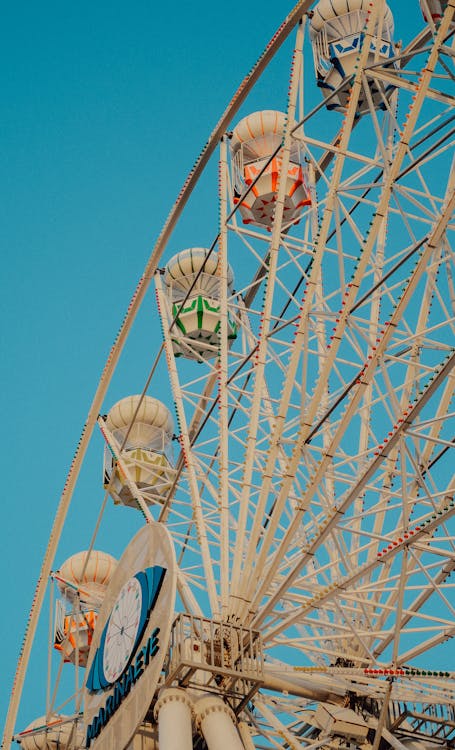 Ferris Wheel in Amusement Park