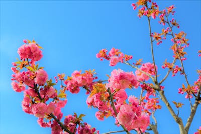 适合女人三十岁发朋友圈的句子 