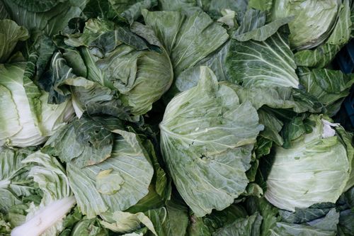 Free Close-up of fresh green cabbages on display at a market. Stock Photo
