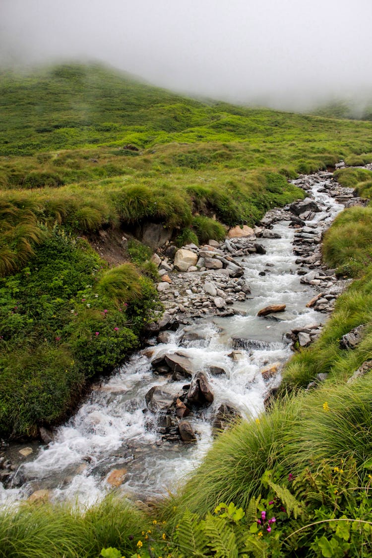 Stream Under Fog