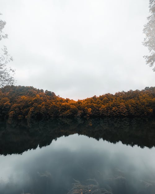 Trees in Autumnal Colors around a Body of Water