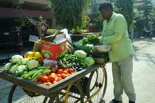 Безкоштовне стокове фото на тему «desi, indore, живий»