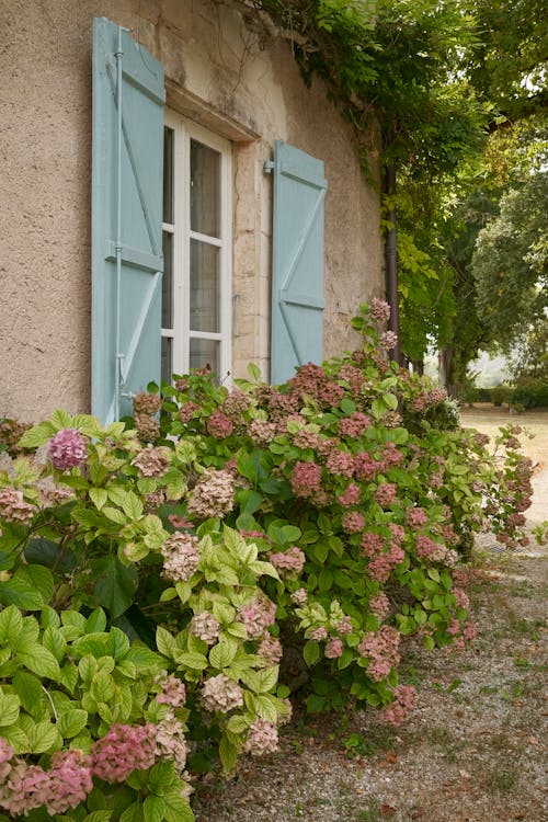 Imagine de stoc gratuită din arc, cabane, casă de familie