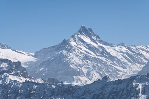 schreckhorn, 不平, 伯尔尼阿尔卑斯山 的 免费素材图片