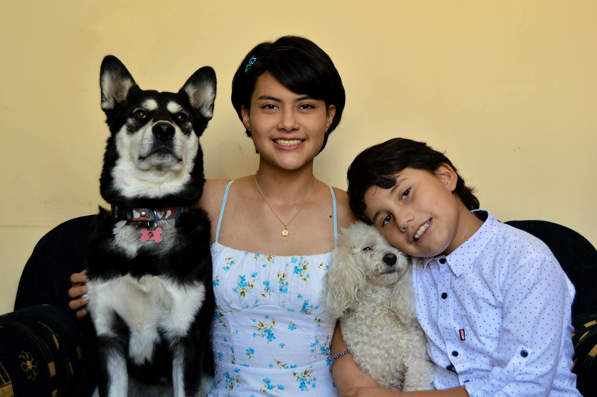 A Girl and Boy with Two Dogs