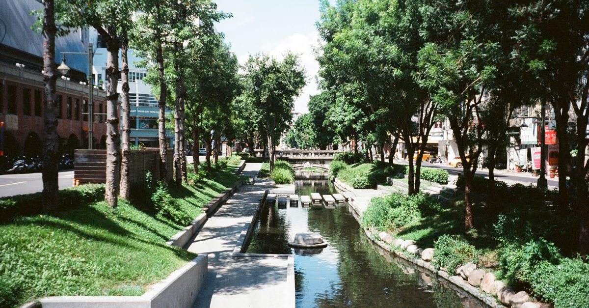 Serene view of a tree-lined canal in Taichung City park under bright summer skies.