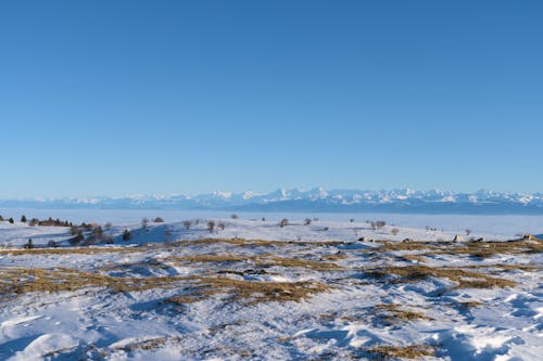 Meadow Covered in Snow