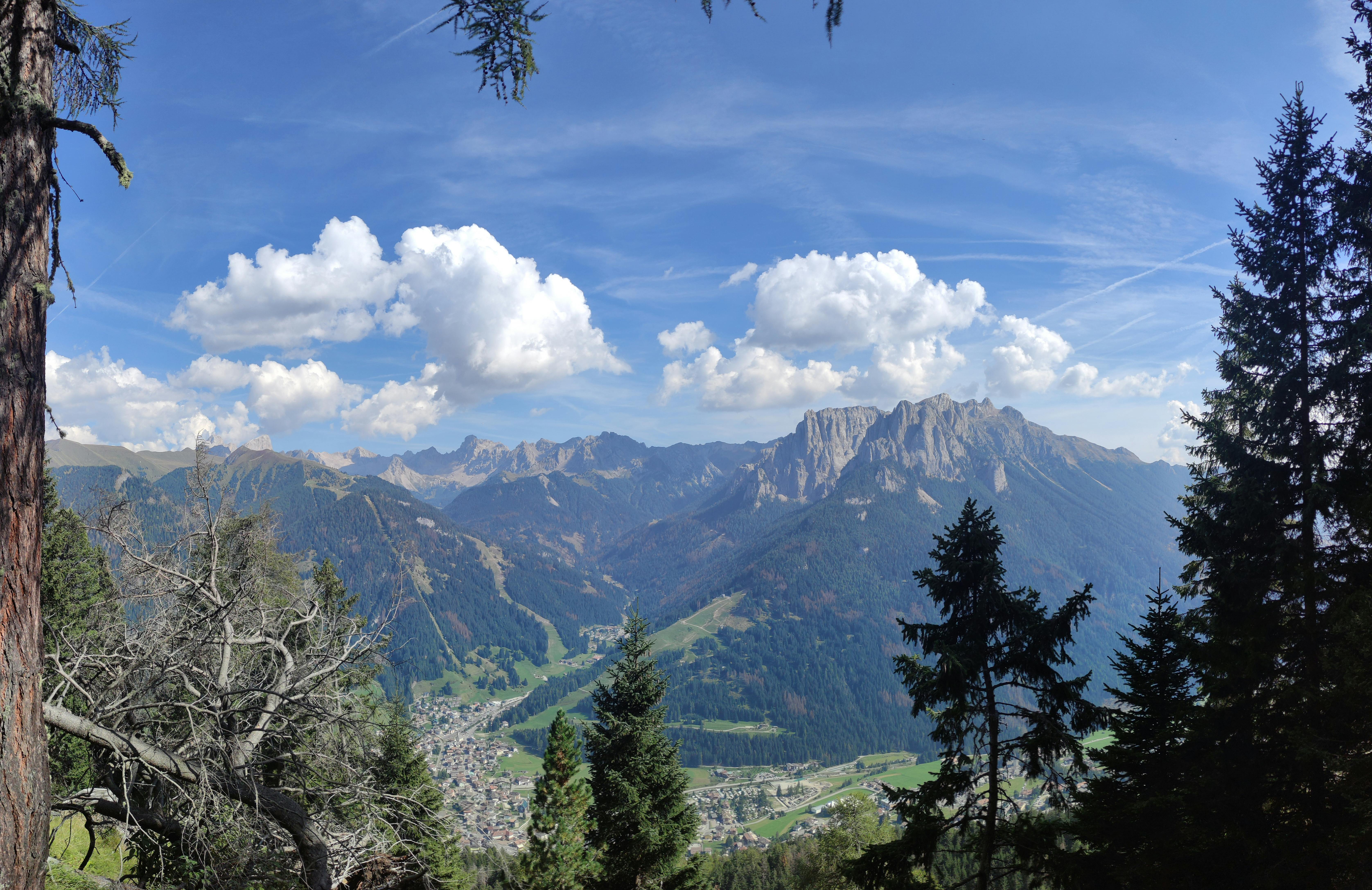 Vertiseit (Q1 Review): Look beyond volatile non-SaaS revenue — Photo by Elisa Sammarini on Pexels