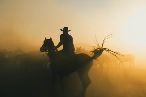 Silhouette of a Man in Cowboy Hat Riding a Horse at Sunrise
