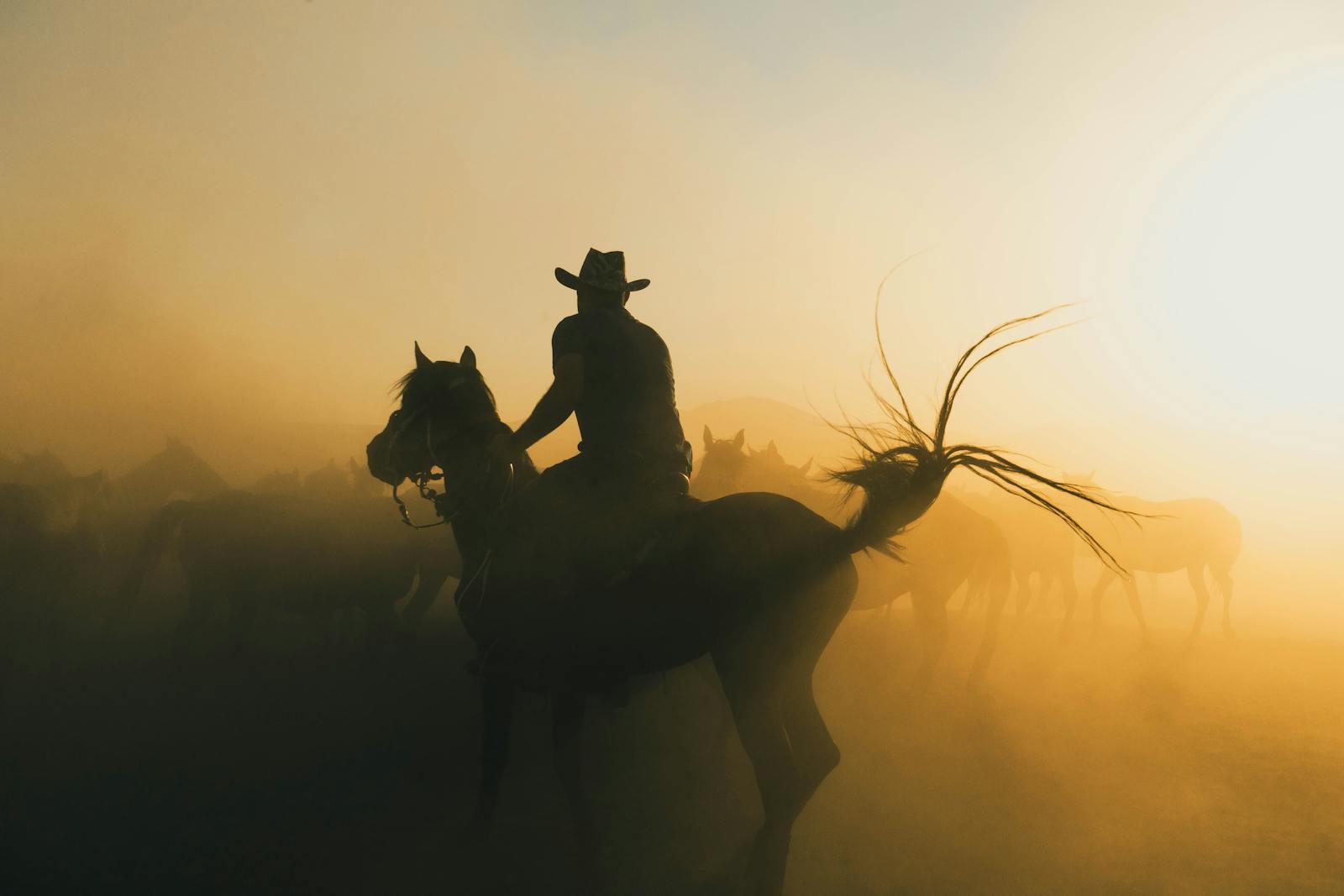 Cowboy Hat Photos, Download The BEST Free Cowboy Hat Stock Photos & HD ...