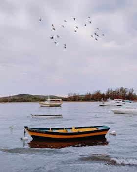 多云的天空下，平静的水面上，渔船和鸟类构成一幅宁静的景象