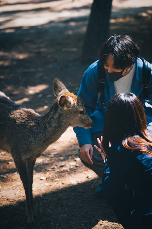 Couple with Doe