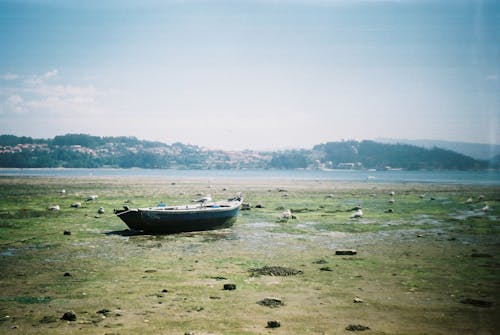 Free Boat Moored on Beach Stock Photo