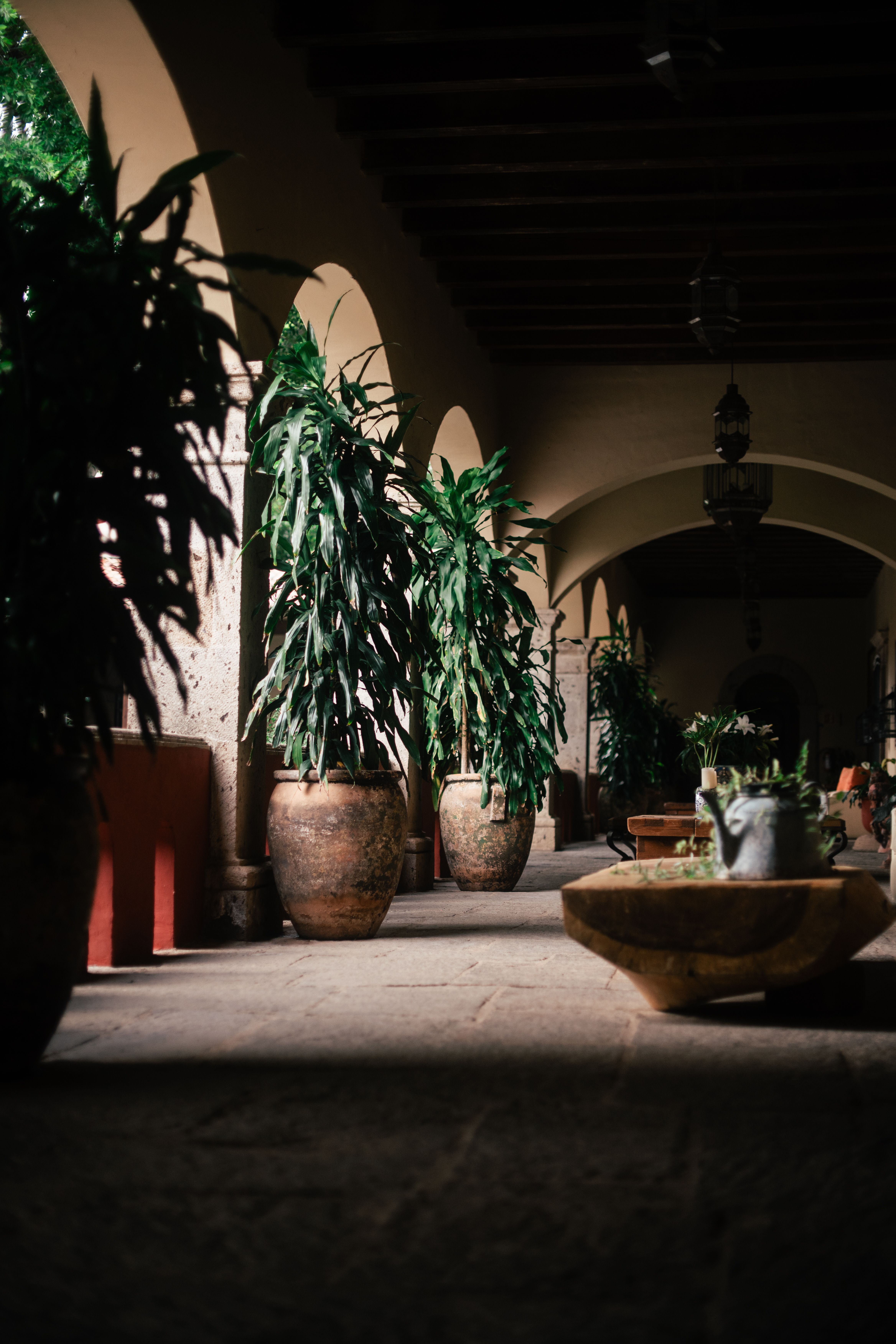 Potted Plants Decorating Walking Passage · Free Stock Photo