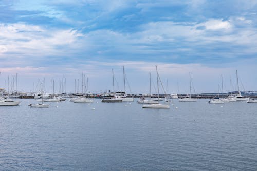 Overcast over Moored Motor Yachts