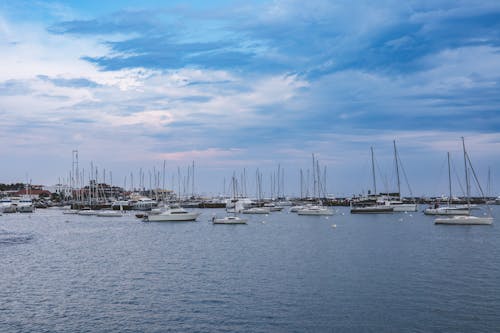 Бесплатное стоковое фото с берег, море, моторные яхты