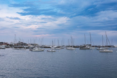 Moored Motor Yachts on Sea Shore