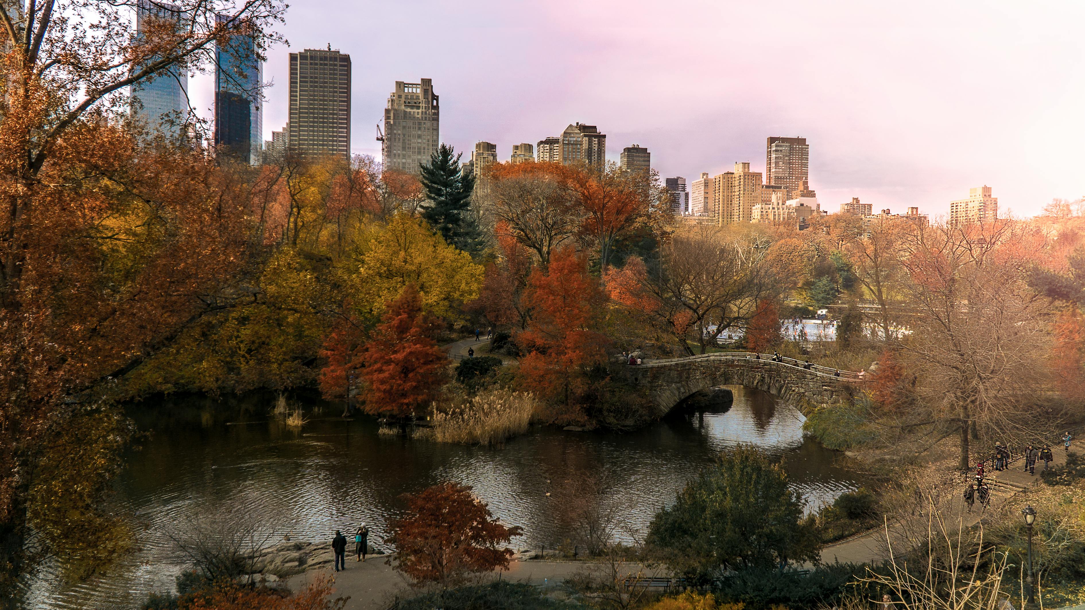 Free stock photo of central park, fall colors, fall foliage