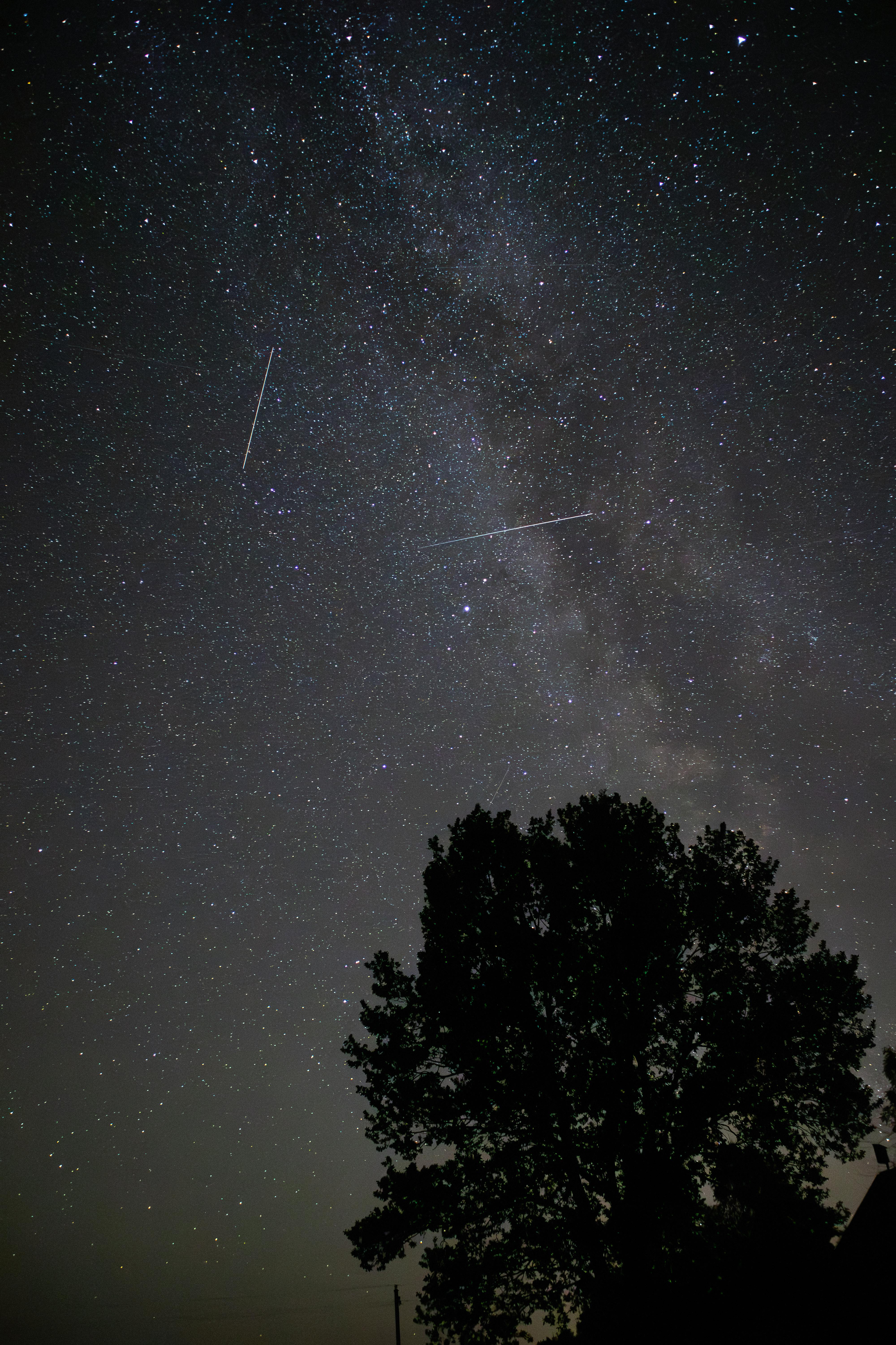 Sky Full of Stars – Free Nature Stock