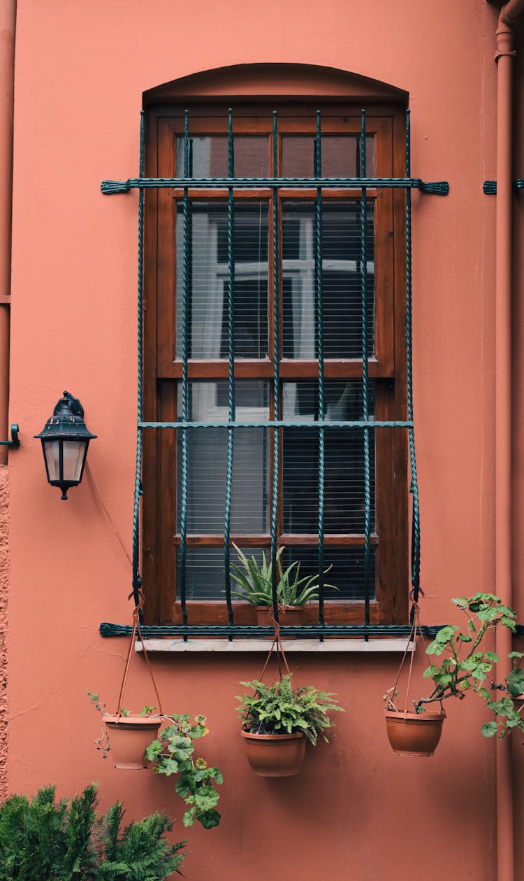 Window With Metal Bars