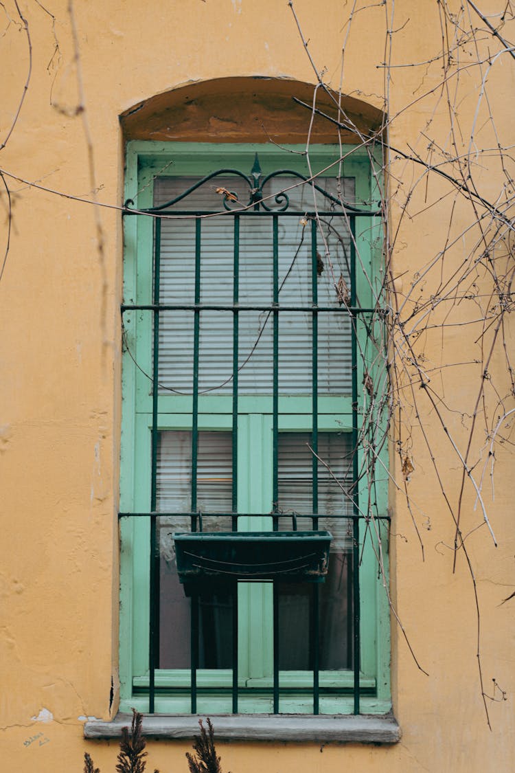 Green Window In A House Building