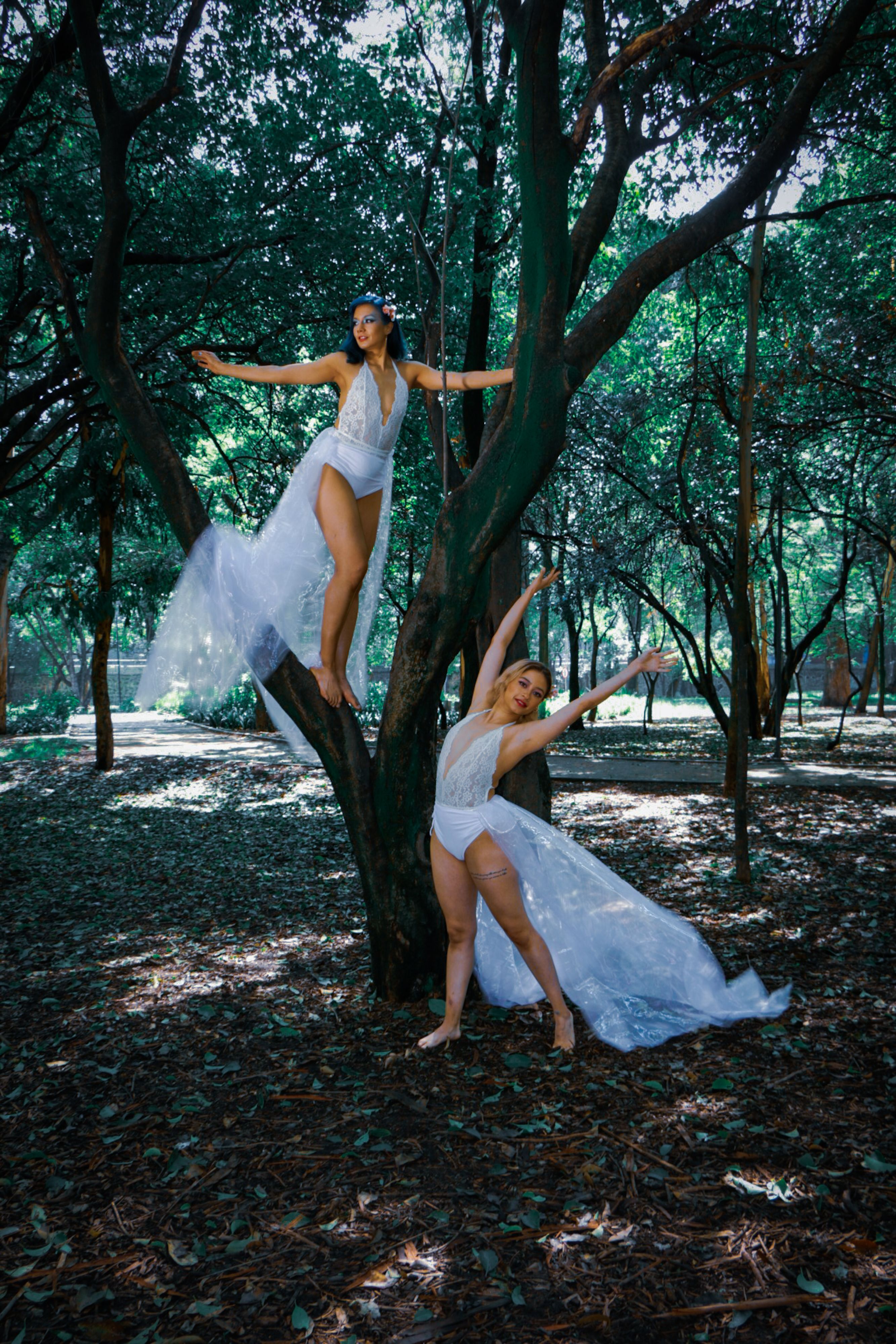 Fotomural Mujeres en elegantes vestidos blancos posan con gracia entre árboles en un entorno forestal sereno.