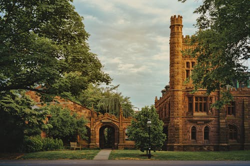 Immagine gratuita di alberi, campus, gotico