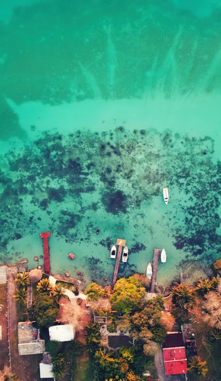 Birds Eye View of Sea Shore with Moored Motorboats