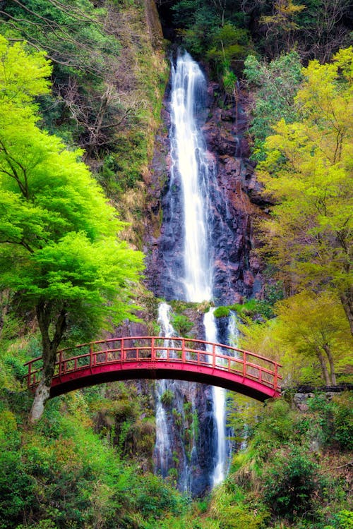 Fotobanka s bezplatnými fotkami na tému cestovať, goho padá, Japonsko