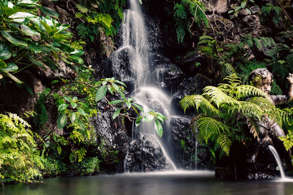 Lush greenery surrounds a tranquil waterfall in Madeira, Portugal, creating a serene and natural setting.