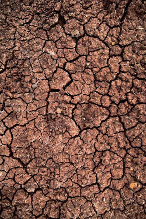 乾旱, 地面, 垂直拍攝 的 免費圖庫相片