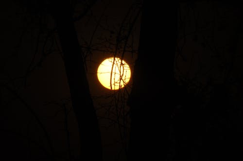 Free stock photo of black, scenery, sun