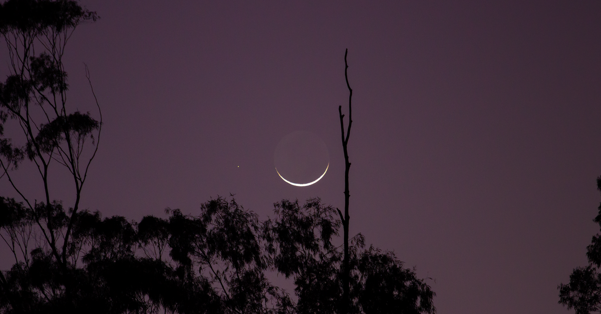 venus