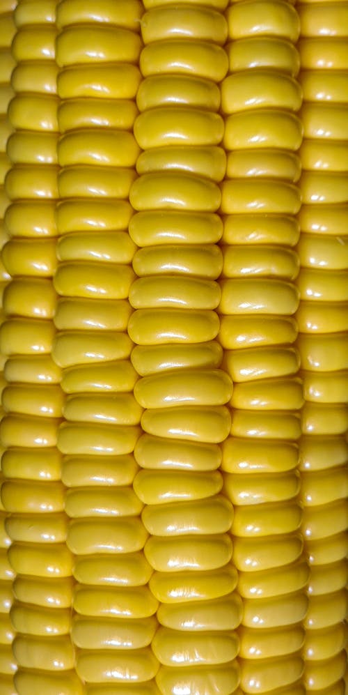 Corn