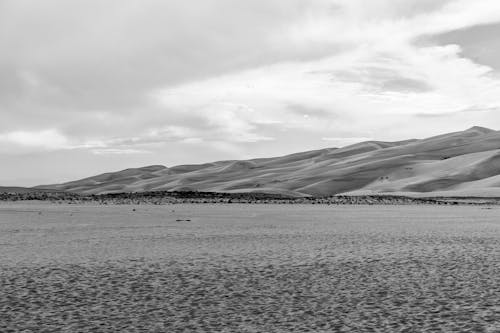 Desert in Black and White