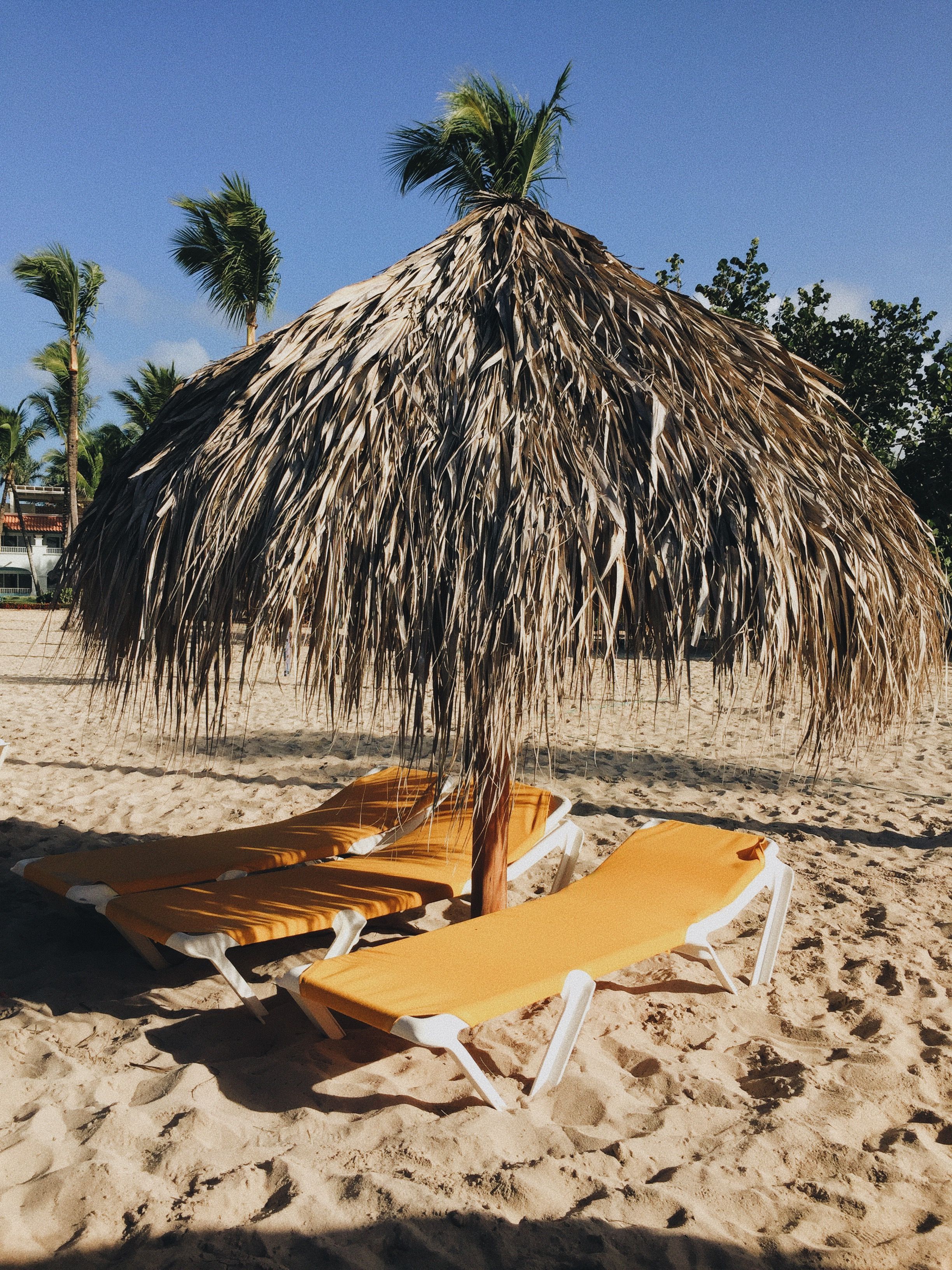 Photo of Loungers Under Tiki Umbrella · Free Stock Photo
